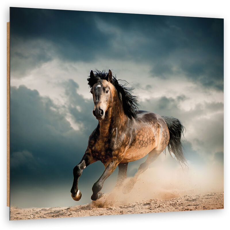 foto del prodotto quadro deco panel, galoppo di cavallo - 30x30