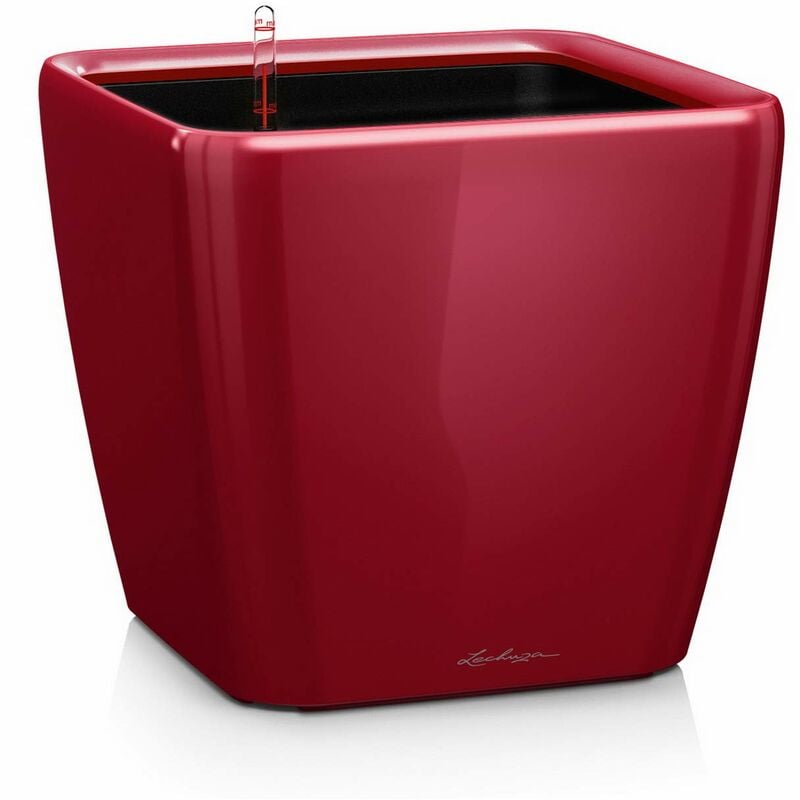 foto del prodotto quadro premium ls 35 rosso scarlatto lucido 16167 lechuza
