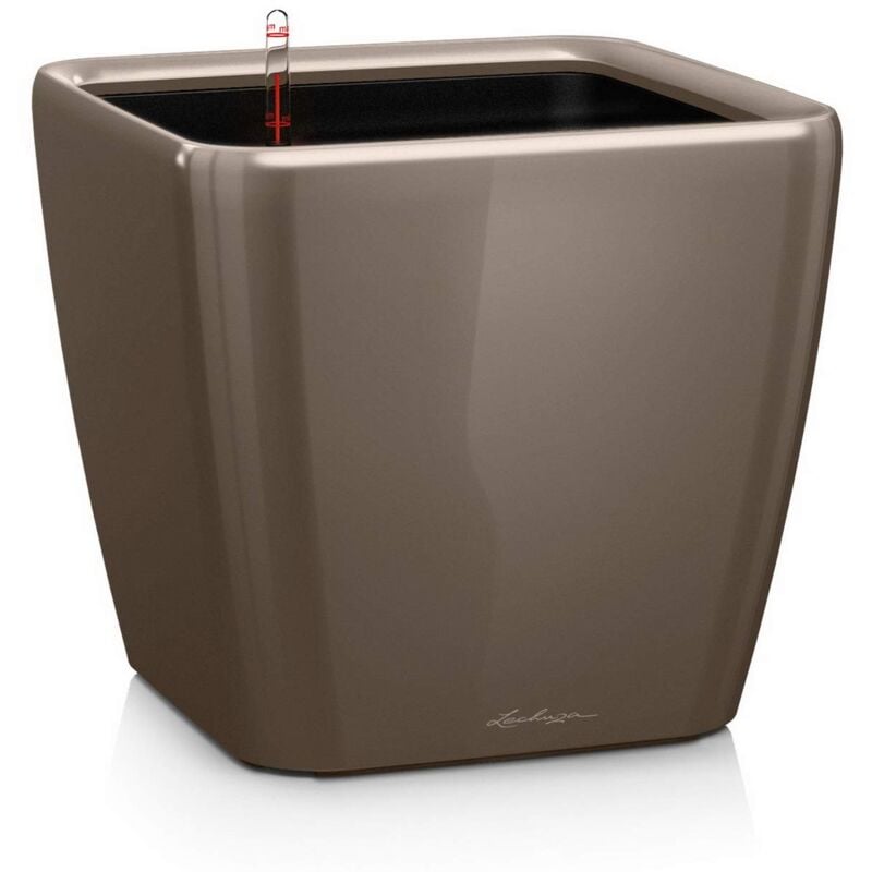 foto del prodotto quadro premium ls 35 taupe lucido 16165 lechuza