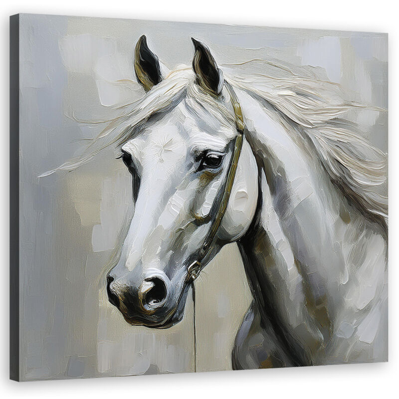 foto del prodotto quadro su tela, animali cavallo bianco 30x30