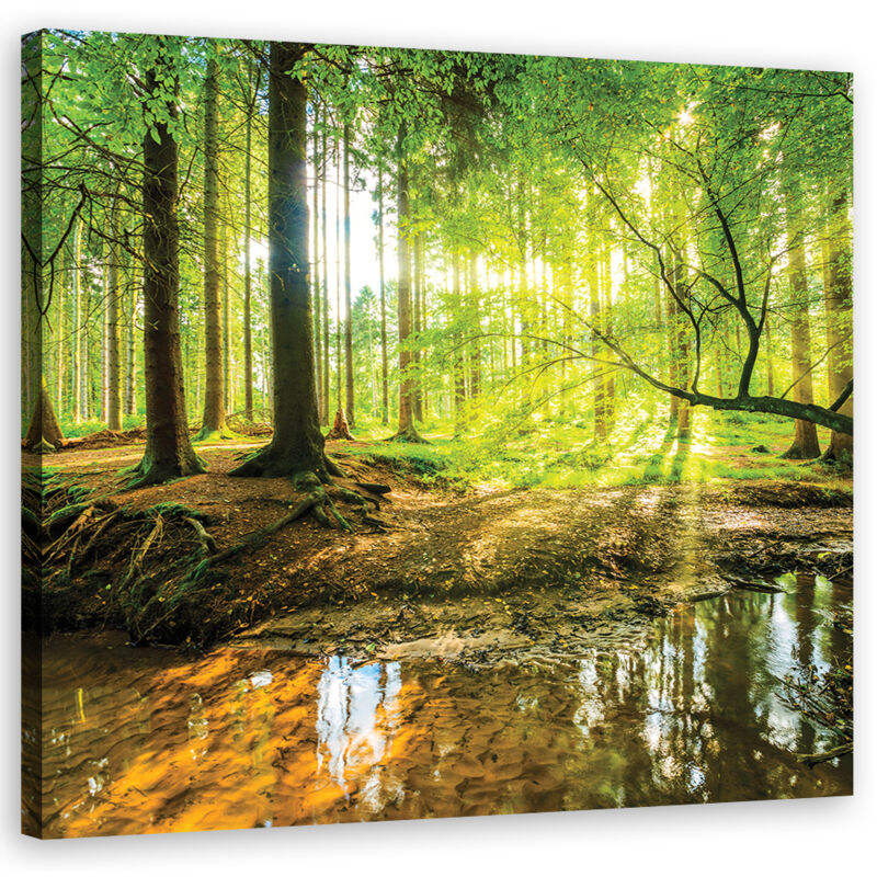 foto del prodotto quadro su tela, astrazione del lupo nero 50x50