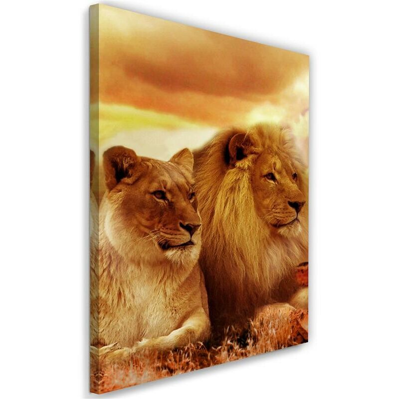 foto del prodotto quadro su tela, leoni africa animali - 70x100