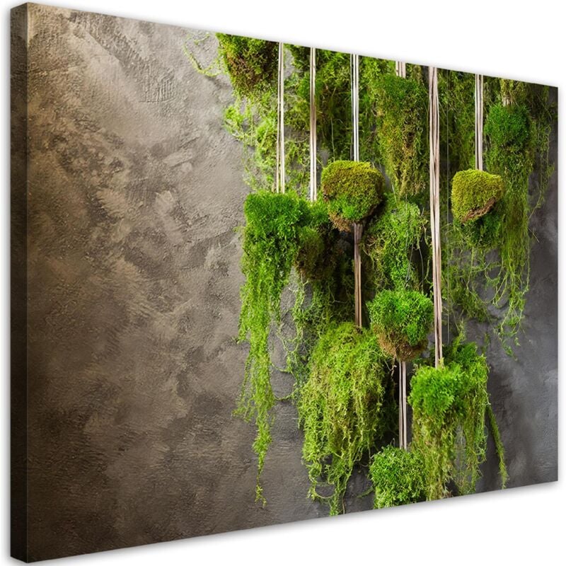 foto del prodotto quadro su tela, muschio pianta botanica 120x80