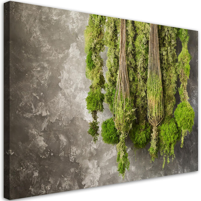 foto del prodotto quadro su tela, muschio pianta natura - 100x70