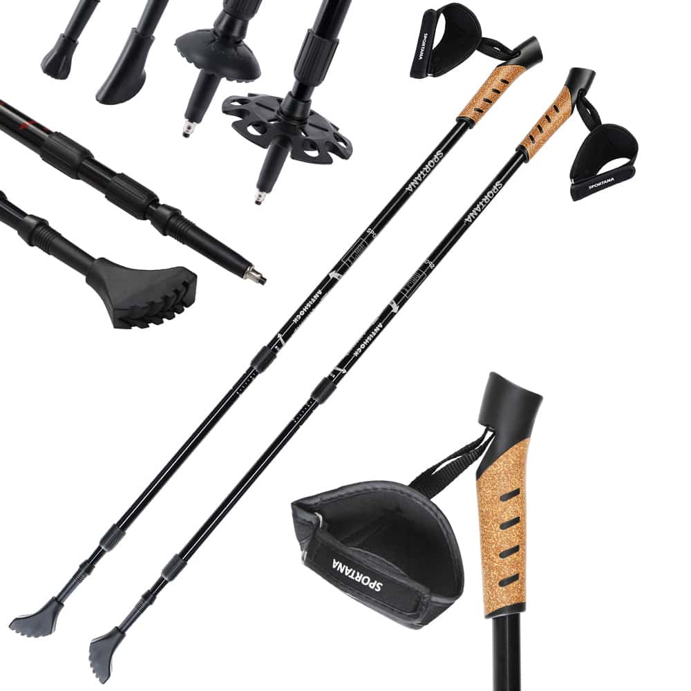 foto del prodotto racchette da nordic walking regolabili grigio alluminio