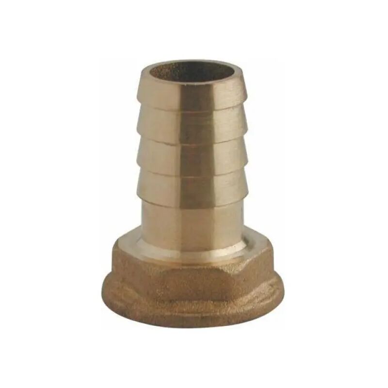 foto del prodotto raccordo diritto femmina portagomma in ottone giallo per pompa serie 1010 20x3/4 rinaldi e pettinaroli