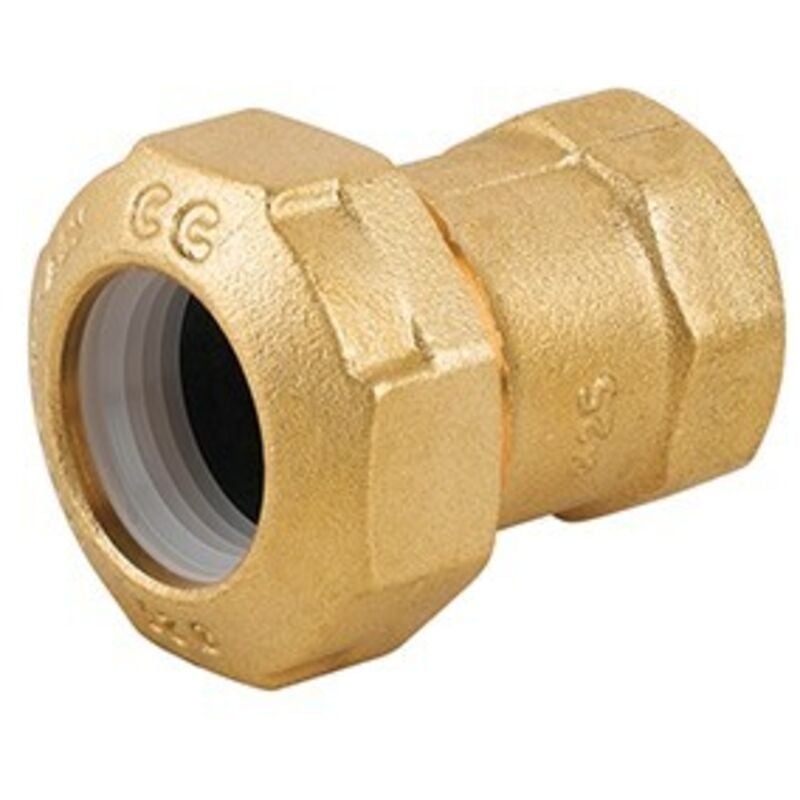 foto del prodotto raccordo femmina in ottone per tubo pe 1 1/2 x 50