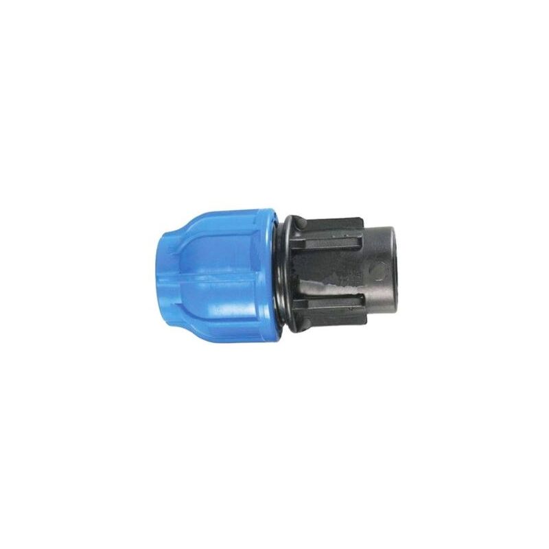 foto del prodotto raccordo plus fil femmina gh blu d63x2 irritec