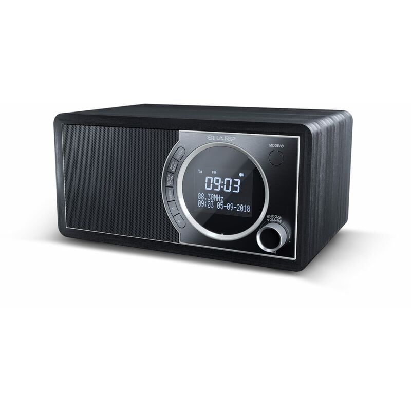 foto del prodotto radio sharp dr450bk