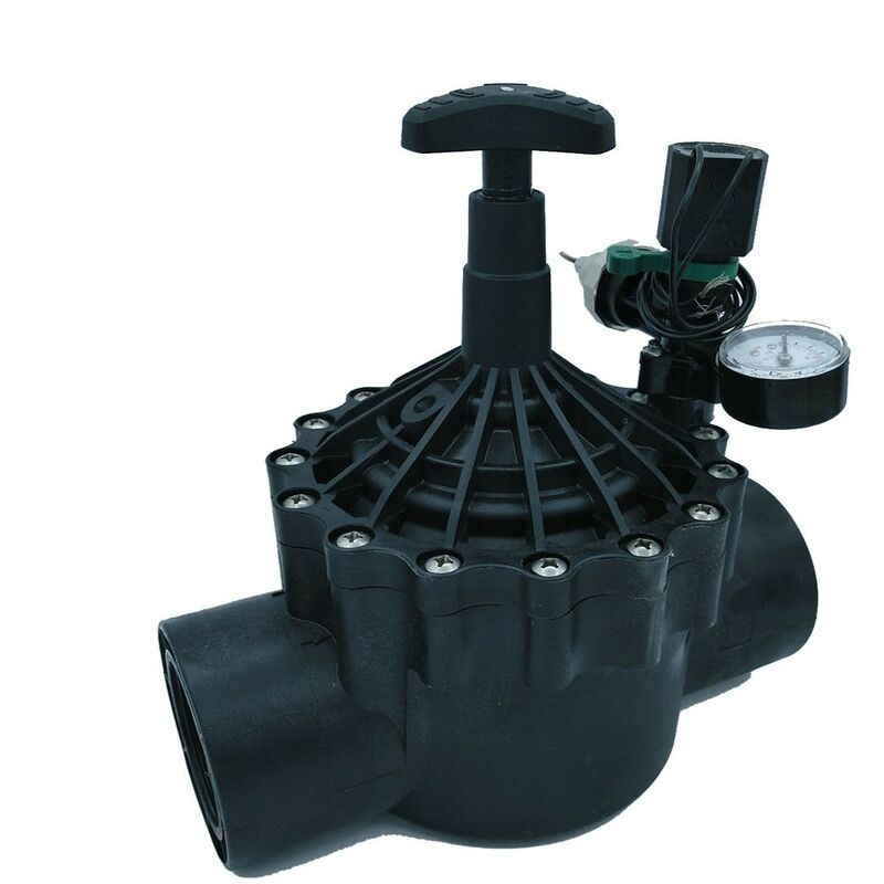 foto del prodotto rain rn 180 24v 2 con regolatore di flusso offerta esclusiva