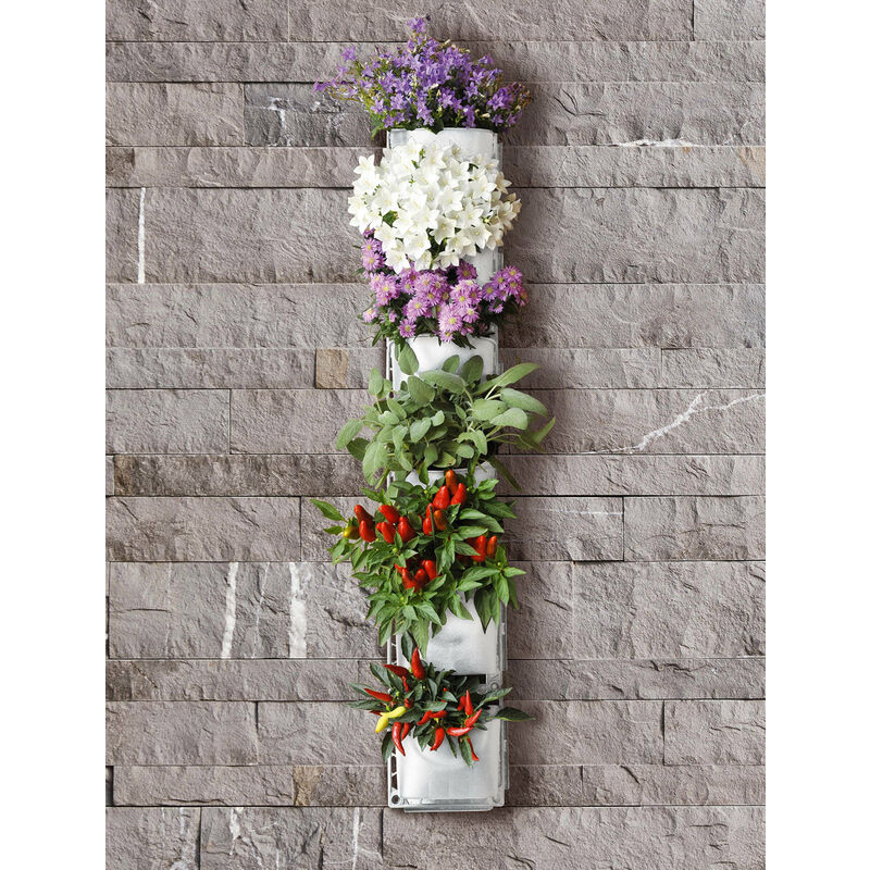 foto del prodotto rama giardino verticale 6 vasi 15x17x12 cm intercambiabili vertical garden