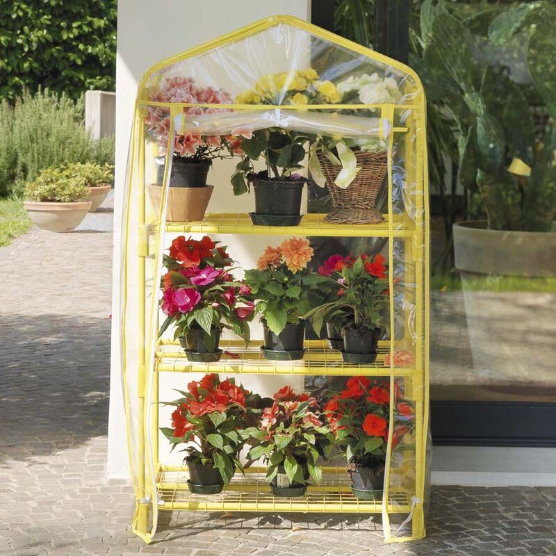 foto del prodotto rama serra da giardino 3 ripiani in acciaio con telo azalea gialla