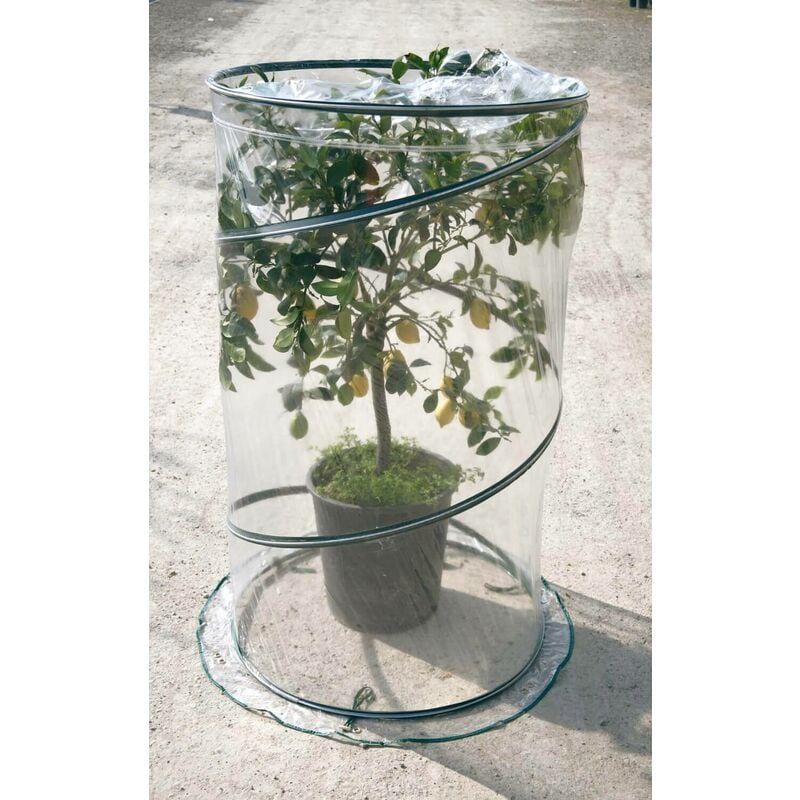 foto del prodotto rama serra da giardino con sistema pop up 90cm citrus verde