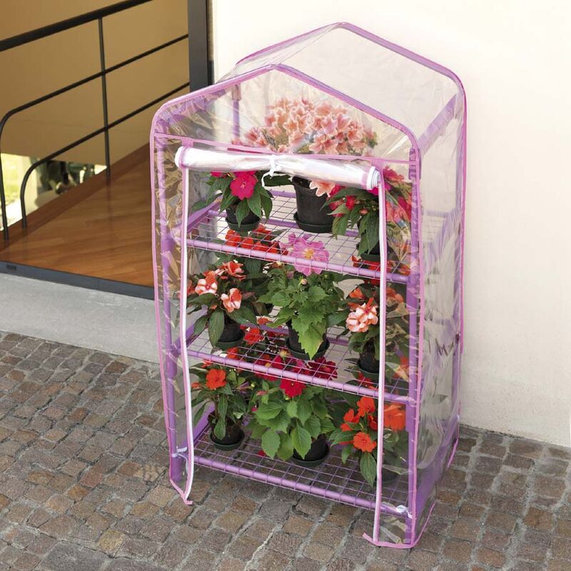foto del prodotto rama serra da giardino in alluminio 3 ripiani con telo azalea lilla