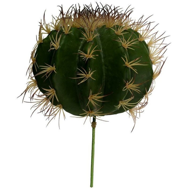 foto del prodotto ramo cactus verde cm 25h17 30