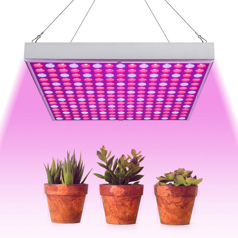 immagine 0 del prodotto randaco led lampada per piante 15w lampada per coltivazione idroponica indoor spettro completo led coltiva luce per piante indoor verdure e fiori
