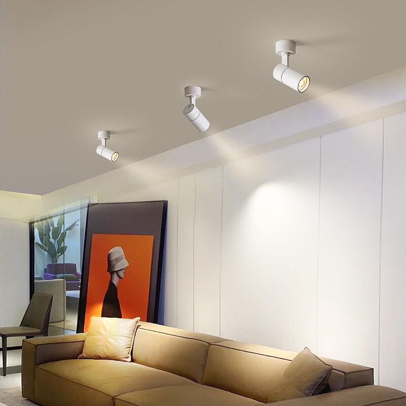 foto del prodotto rapanda faretto per interni dimmerabile 2 pezzi, luce led dimmerabile 3000k 4000k 5000k, faretto per piante da 3w illuminazione per interni, luce