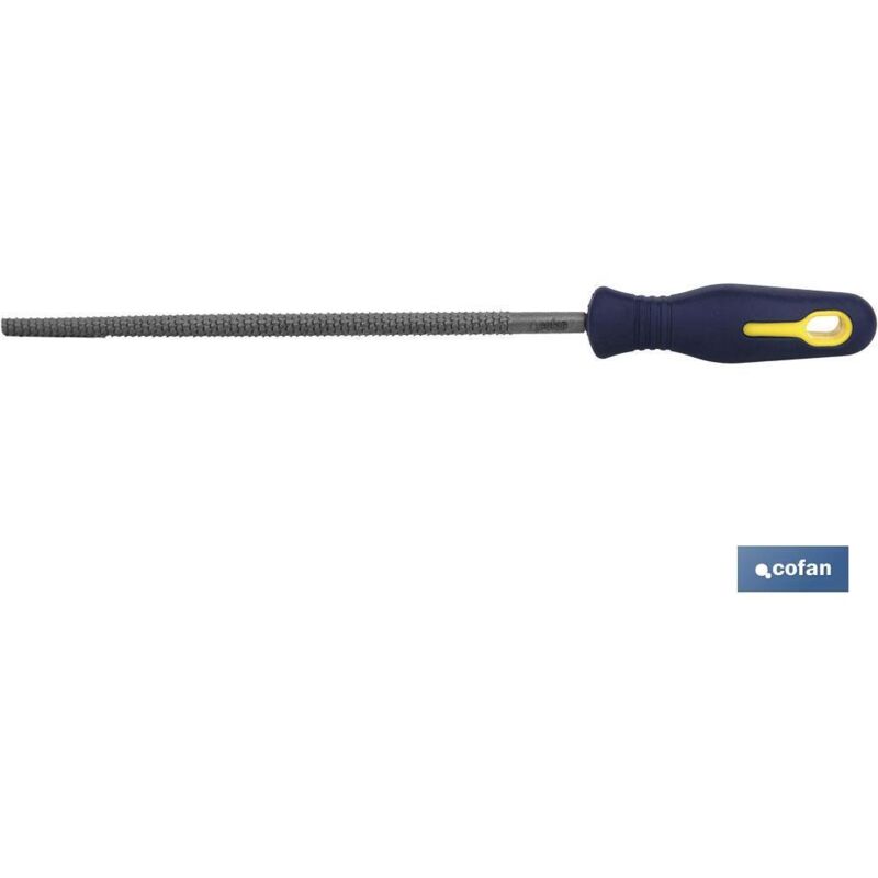 foto del prodotto raspa rotonda da 250 mm con manico