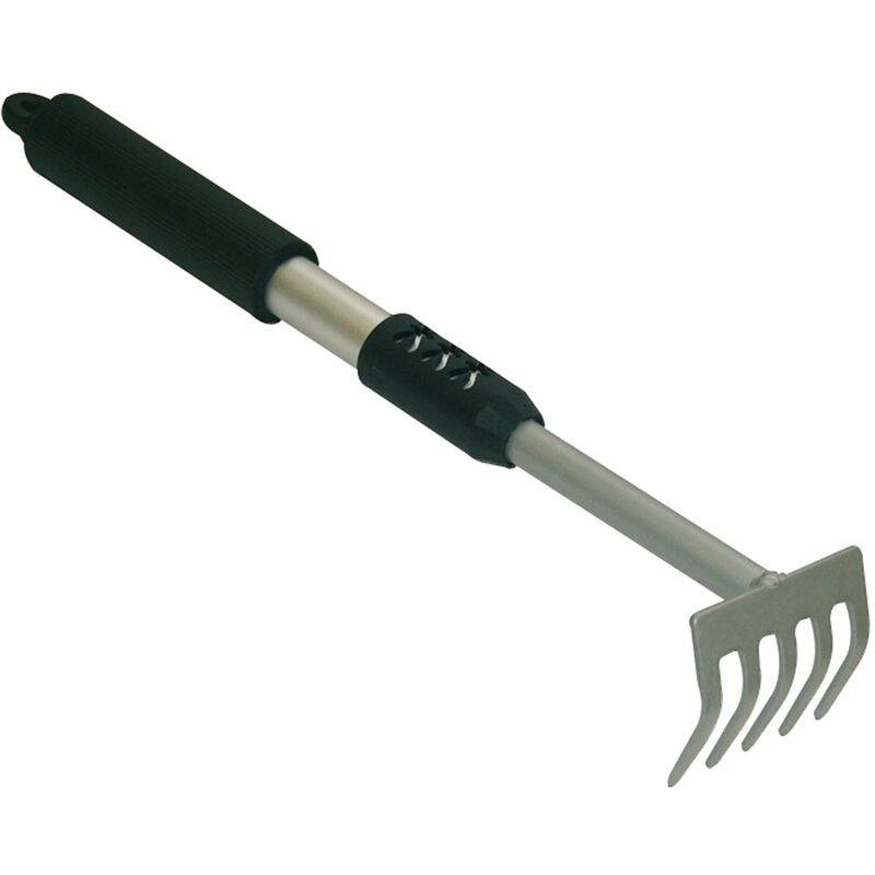 foto del prodotto rastrello 5 denti con manico in alluminio 36 cm brixo platinum