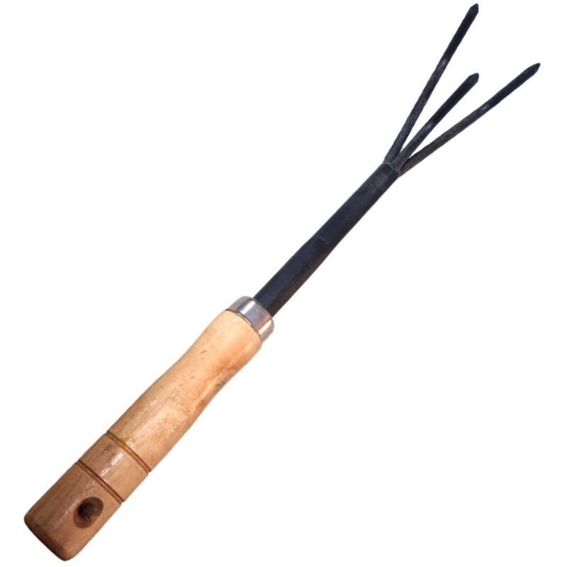 foto del prodotto rastrello giardino attrezzi 3 denti manico legno strumenti forchetta utensili