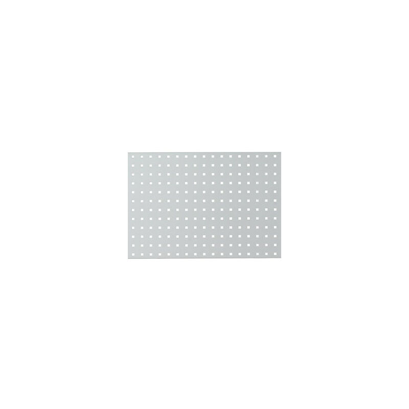 foto del prodotto rau parete forata per banco da lavoro grigio chiaro ral 7035
