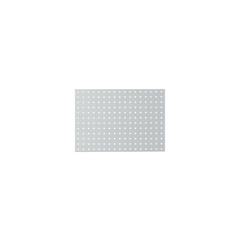 foto del prodotto rau parete forata per banco da lavoro grigio chiaro ral 7035