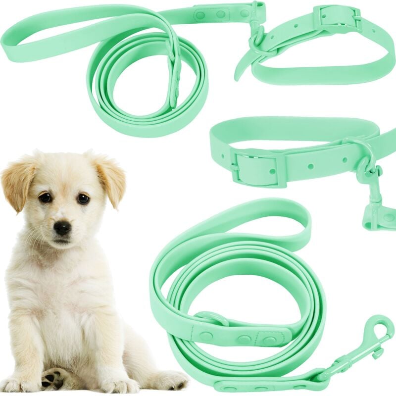 foto del prodotto rea guinzaglio e collare pj 069 green s