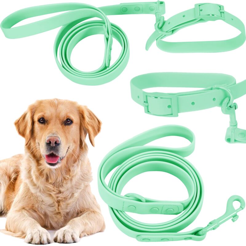 foto del prodotto rea guinzaglio e collare pj 077 green l