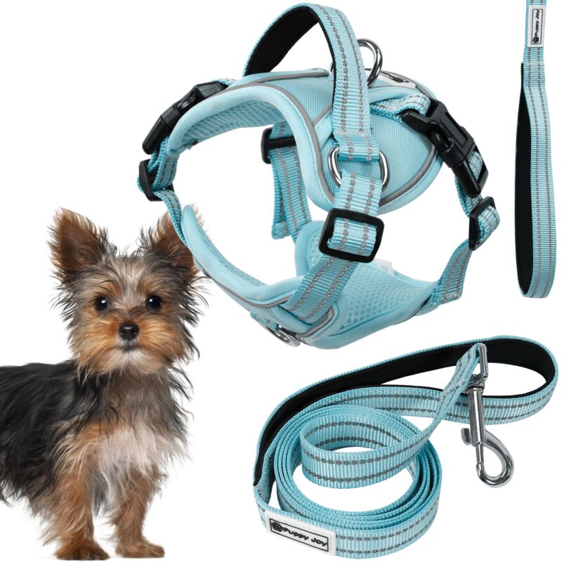 foto del prodotto rea guinzaglio e pettorina per cane tutumi pj 050 xs blue