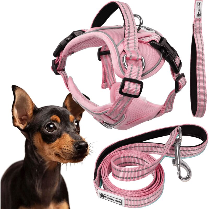 foto del prodotto rea guinzaglio e pettorina per cane tutumi pj 052 s pink