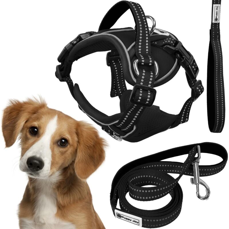 foto del prodotto rea guinzaglio e pettorina per cane tutumi pj 055 m black