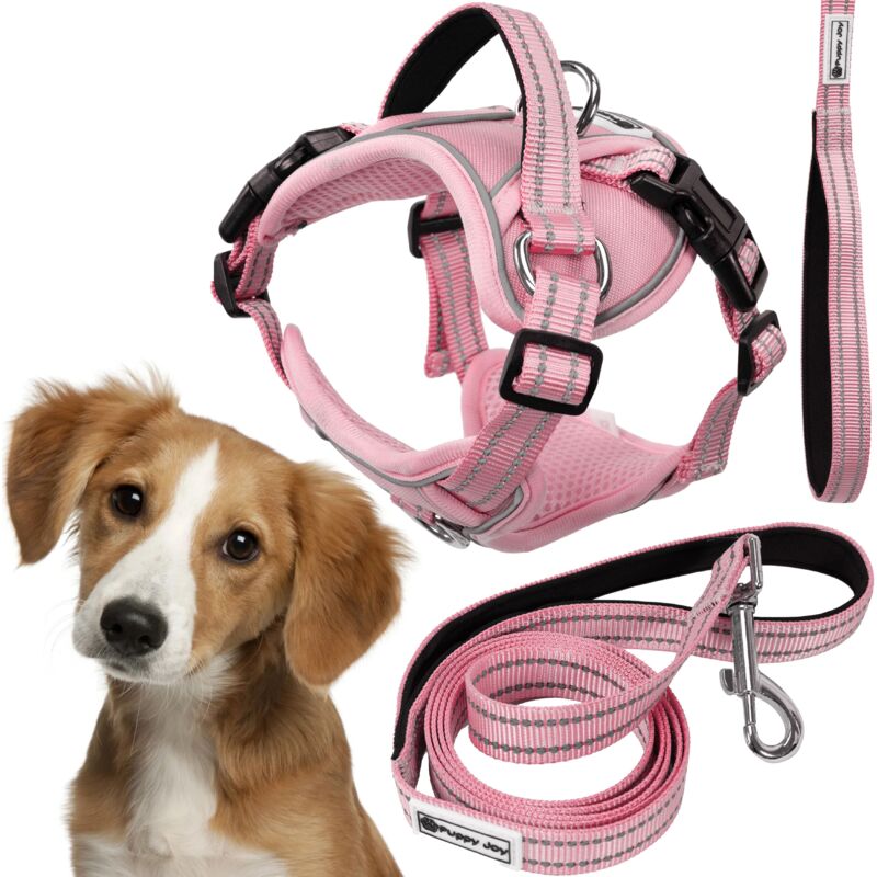 foto del prodotto rea guinzaglio e pettorina per cane tutumi pj 056 m pink
