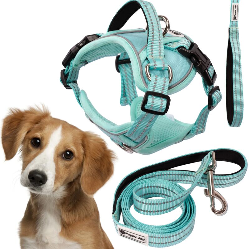 foto del prodotto rea guinzaglio e pettorina per cane tutumi pj 057 m green