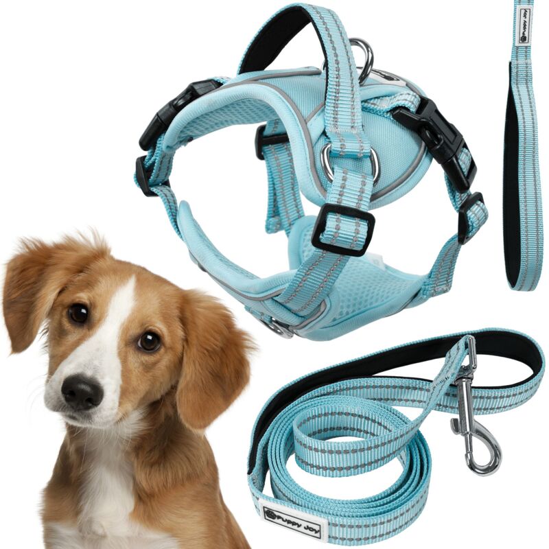 foto del prodotto rea guinzaglio e pettorina per cane tutumi pj 058 m blue