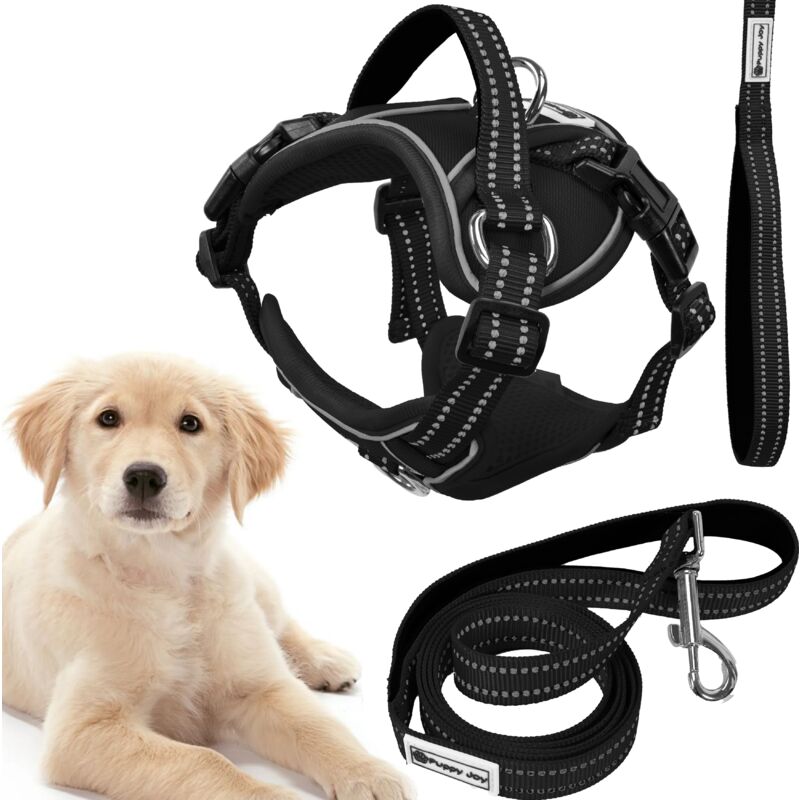 foto del prodotto rea guinzaglio e pettorina per cane tutumi pj 059 l black