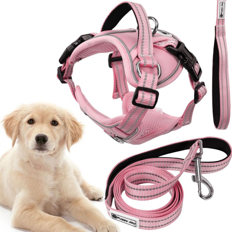 foto del prodotto rea guinzaglio e pettorina per cane tutumi pj 060 l pink