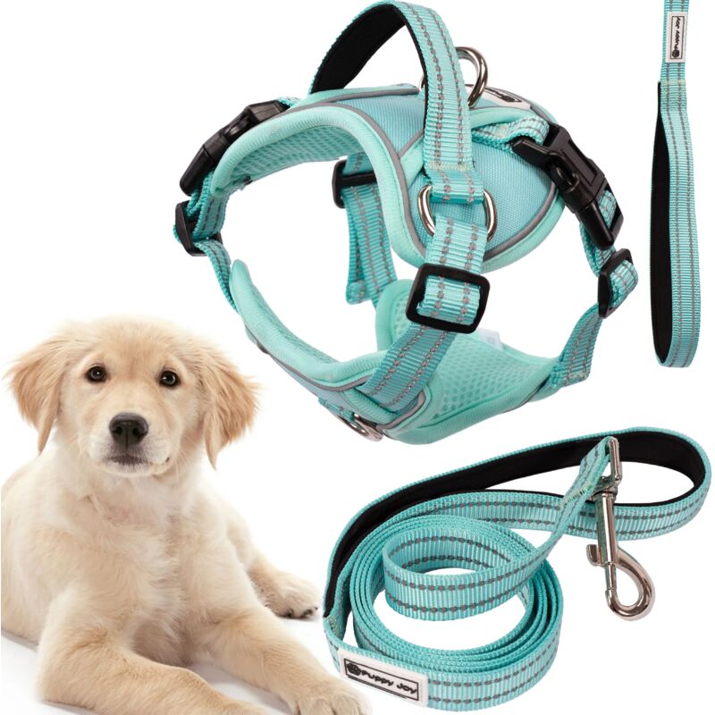foto del prodotto rea guinzaglio e pettorina per cane tutumi pj 061 l green