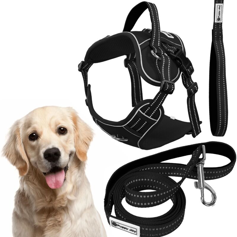 foto del prodotto rea guinzaglio e pettorina per cane tutumi pj 063 xl black