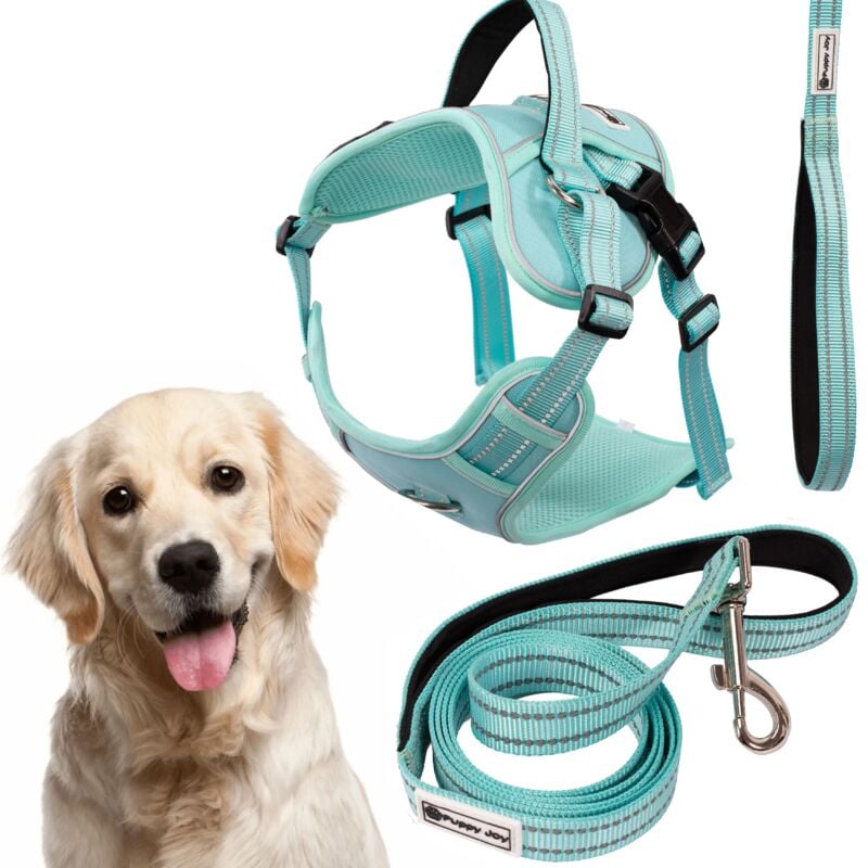 foto del prodotto rea guinzaglio e pettorina per cane tutumi pj 065 xl green