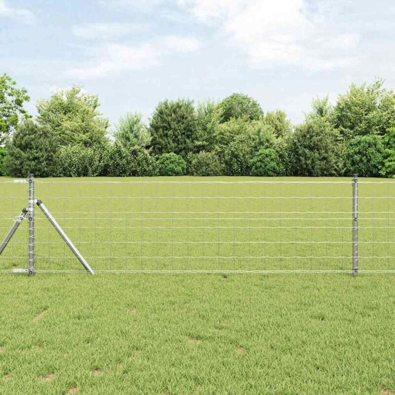 foto del prodotto recinzione euro argento 0.8 x 10 m acciaio zincato a caldo - vidaxl