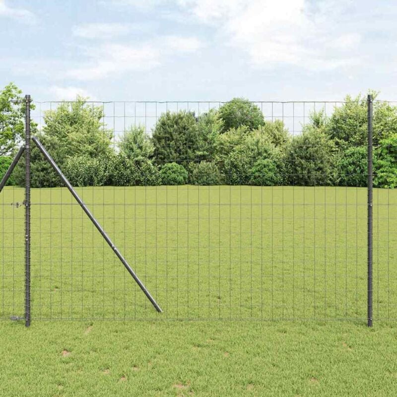 foto del prodotto recinzione euro grigia 1.6x10 m in acciaio vidaxl