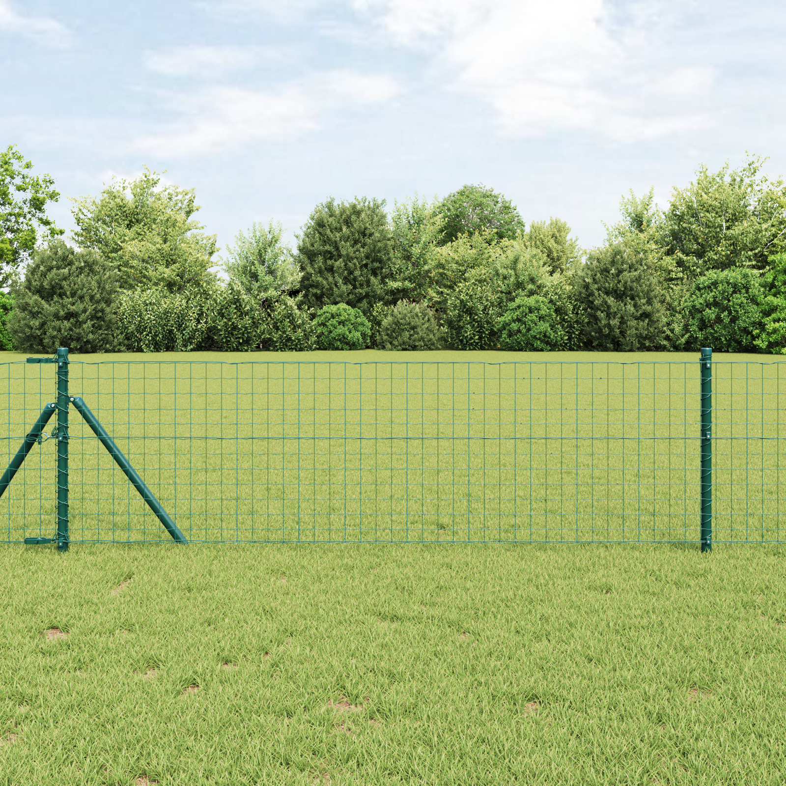 foto del prodotto recinzione europea verde 0.4x25 m ferro
