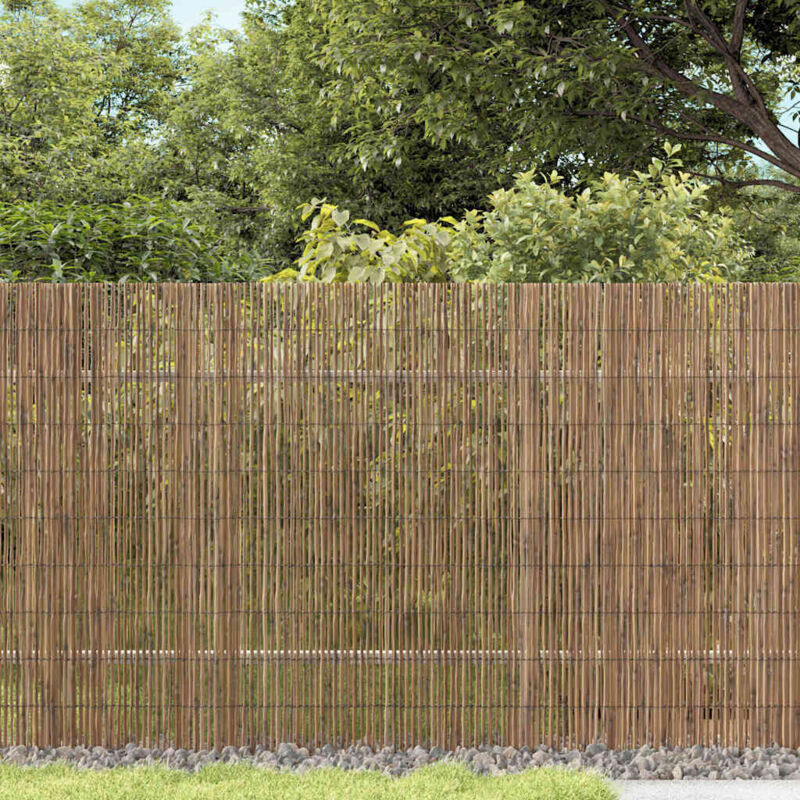 foto del prodotto recinzione in canneto per giardino vidaxl 600x160 cm
