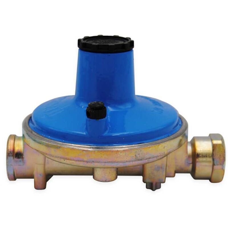 foto del prodotto regolatore bassa pressione in 1 2 f out 1 2 f portata 10 kg h 0000000e821