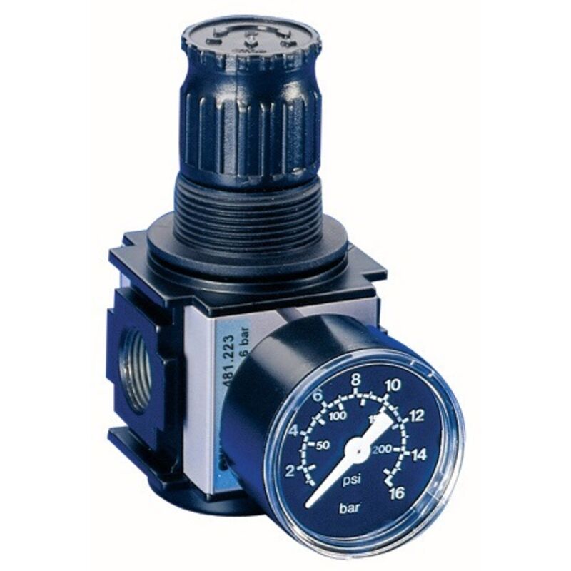 foto del prodotto regolatore di pressione tipo 481 mm 11,89 bg i g 1 4 pollici 0,5-10bar 2000l min ewo