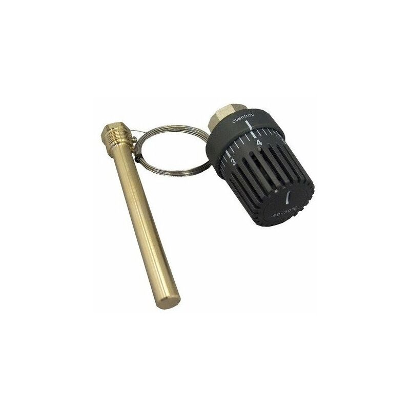 foto del prodotto regolatore di temperatura 20 50 c. 2m