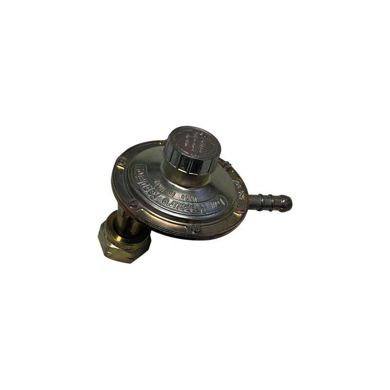 foto del prodotto regolatore gas gpl bp taratura variabile verticale kg h 1 mbar 20 60