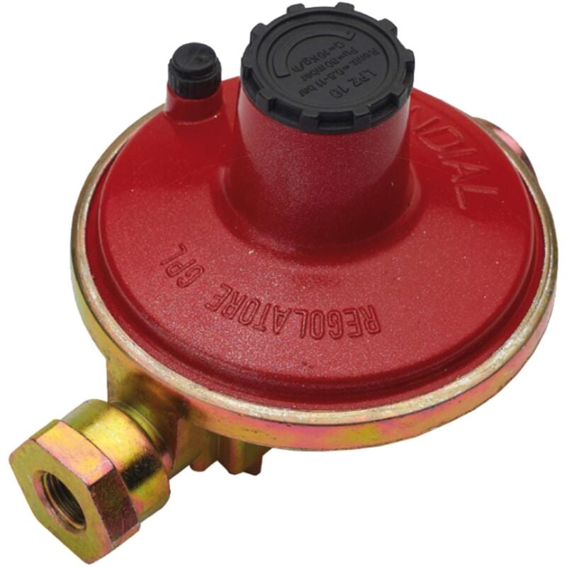 foto del prodotto regolatore gas per centralina 10kg h in f.1 2 out f.1 2