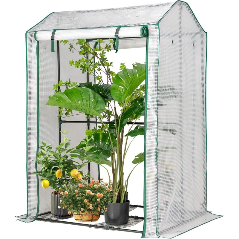 foto del prodotto relax4life serra da giardino 100x81x150cm con porta a cerniera e avvolgibile, con ripiani, telone impermeabile anti uv, per fiori, ortaggi modello