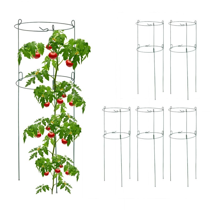 foto del prodotto relaxdays set da 6 sostegni circolari per pomodori, piante rampicanti, cetrioli, hxd 76x26 cm, 2 anelli, acciaio, verde